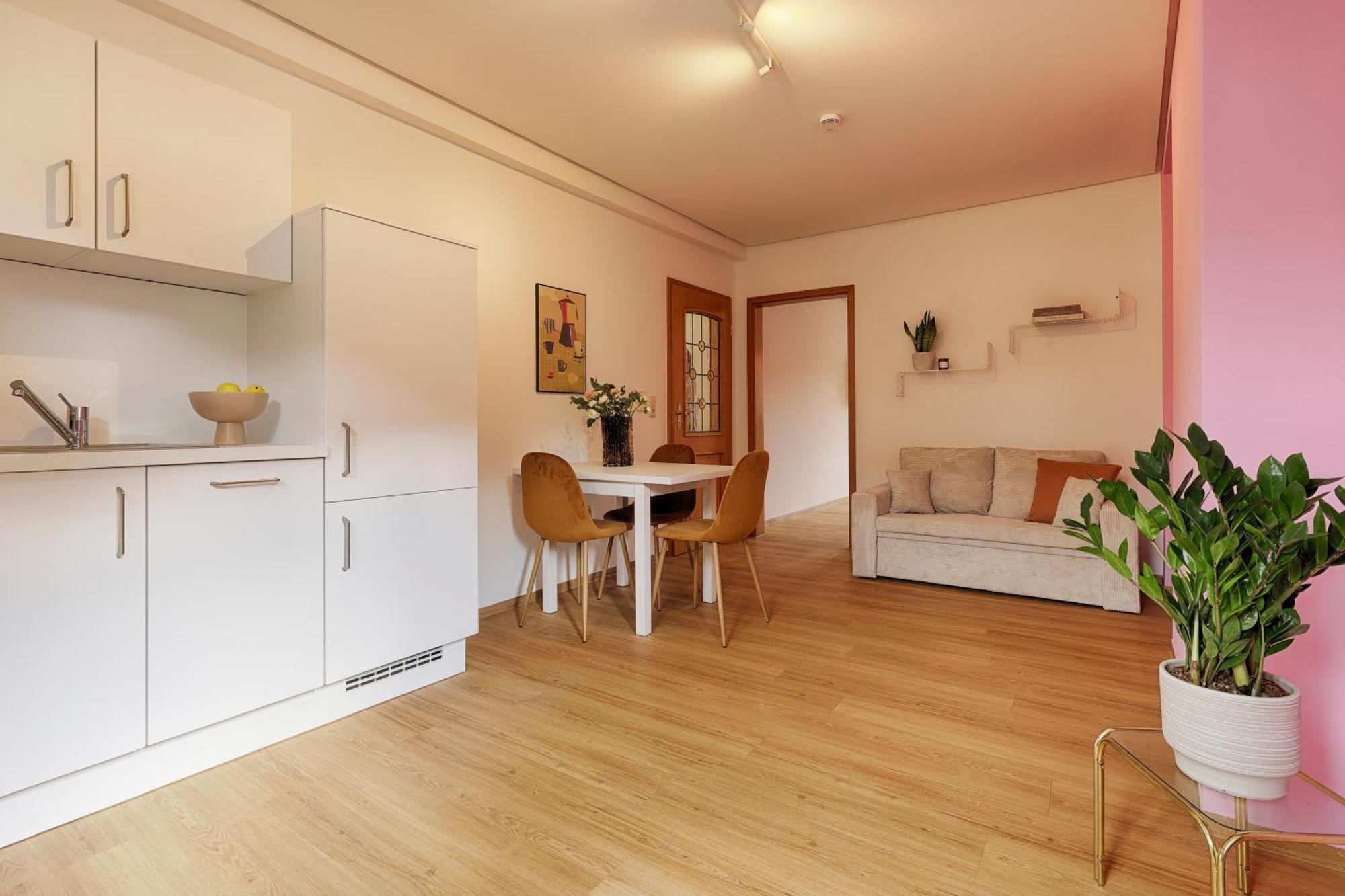 Homie Stay Badgasse - Fewos Am Main Mit Dachterrasse & Fahrradgarage Ochsenfurt Eksteriør billede